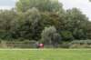 bomen_039_small.jpg
