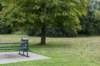 bomen_043_small.jpg