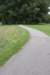 bomen_044_small.jpg