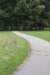 bomen_045_small.jpg