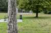 bomen_046_small.jpg