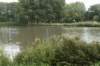 bomen_052_small.jpg