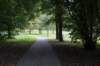 bomen_053_small.jpg