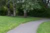 bomen_055_small.jpg