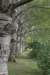 bomen_061_small.jpg