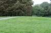 bomen_063_small.jpg