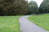 bomen_064_small.jpg