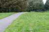 bomen_065_small.jpg