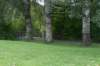 bomen_066_small.jpg