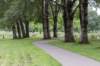 bomen_078_small.jpg