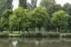 bomen_080_small.jpg