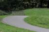 bomen_088_small.jpg