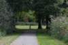 bomen_090_small.jpg