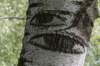 bomen_092_small.jpg