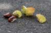 bomen_097_small.jpg