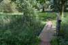 bomen_113_small.jpg