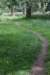 bomen_115_small.jpg