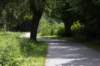 bomen_123_small.jpg