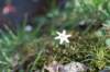 boxtelbest_027_small.jpg