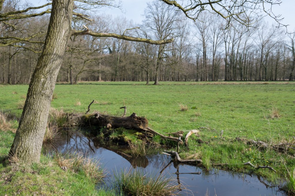 boxtelbest_036.jpg