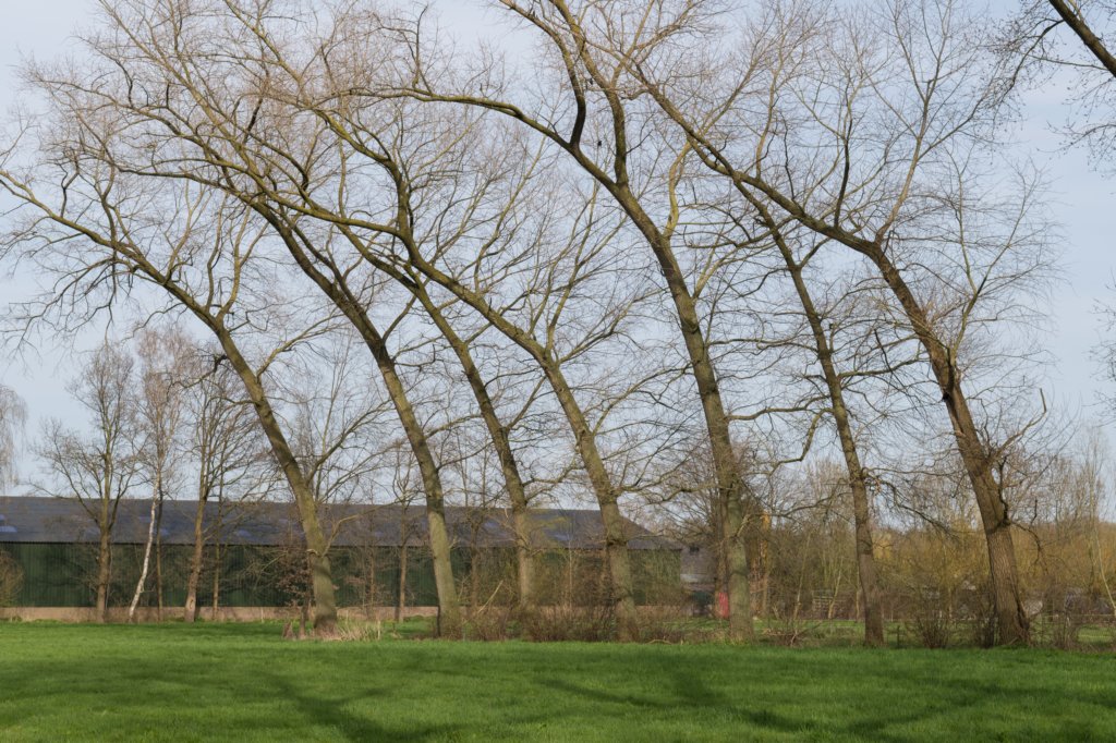 boxtelbest_042.jpg