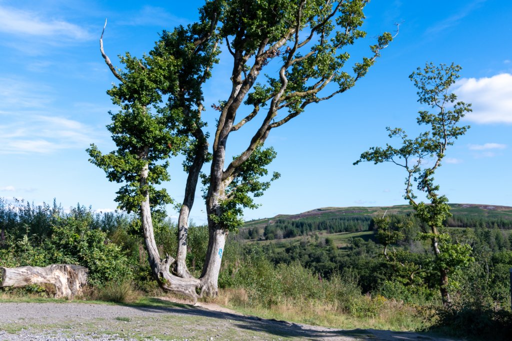 breconbeacons_012.jpg