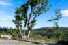 breconbeacons_012_small.jpg