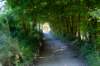 breconbeacons_014_small.jpg