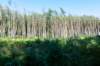 breconbeacons_015_small.jpg