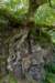 breconbeacons_027_small.jpg