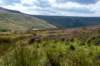 breconbeacons_029_small.jpg