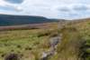 breconbeacons_030_small.jpg