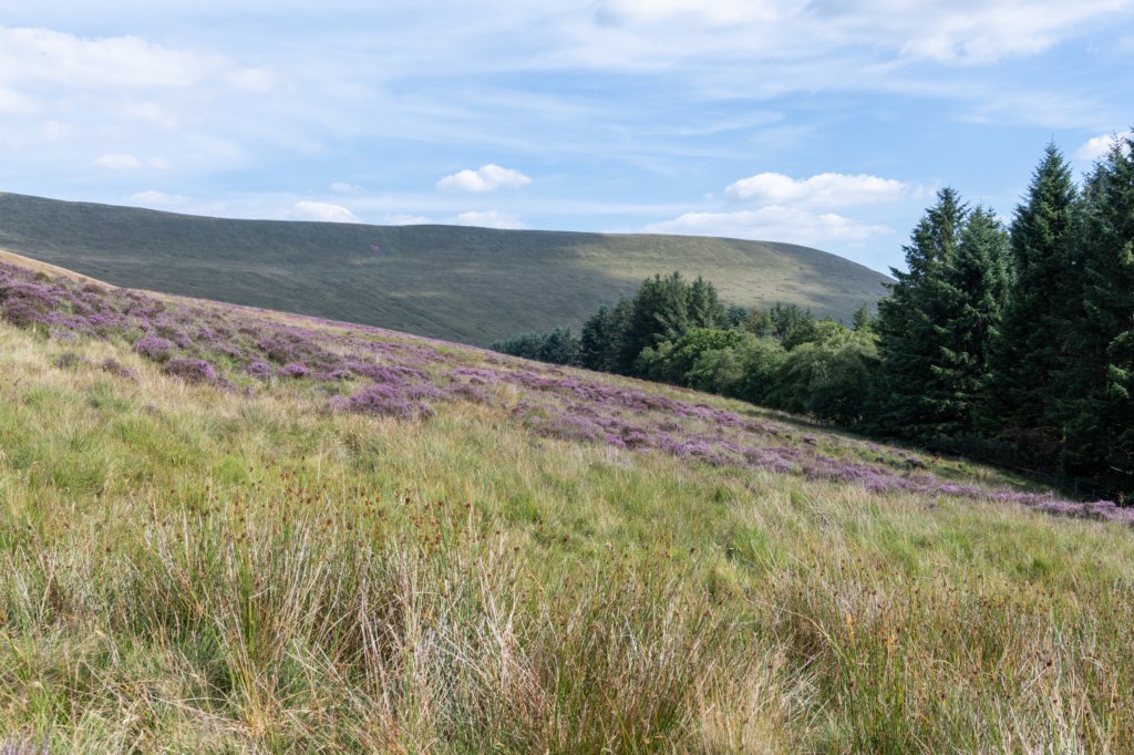 breconbeacons_031.jpg