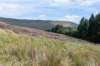 breconbeacons_031_small.jpg