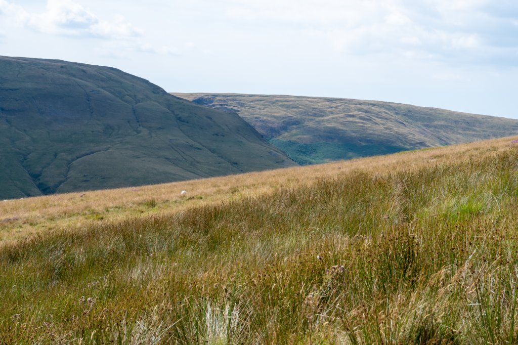 breconbeacons_032.jpg