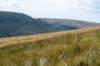 breconbeacons_032_small.jpg