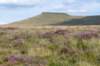 breconbeacons_038_small.jpg