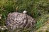 breconbeacons_040_small.jpg