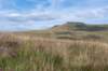 breconbeacons_042_small.jpg