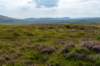 breconbeacons_049_small.jpg
