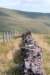 breconbeacons_051_small.jpg