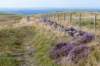 breconbeacons_053_small.jpg