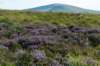 breconbeacons_055_small.jpg