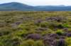 breconbeacons_060_small.jpg