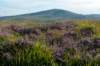breconbeacons_061_small.jpg