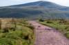 breconbeacons_065_small.jpg