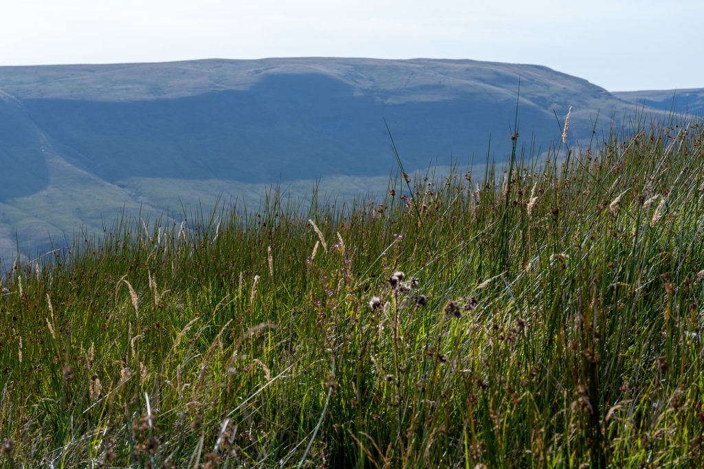 breconbeacons_067.jpg