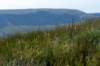breconbeacons_067_small.jpg