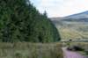 breconbeacons_068_small.jpg