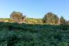 breconbeacons_071_small.jpg